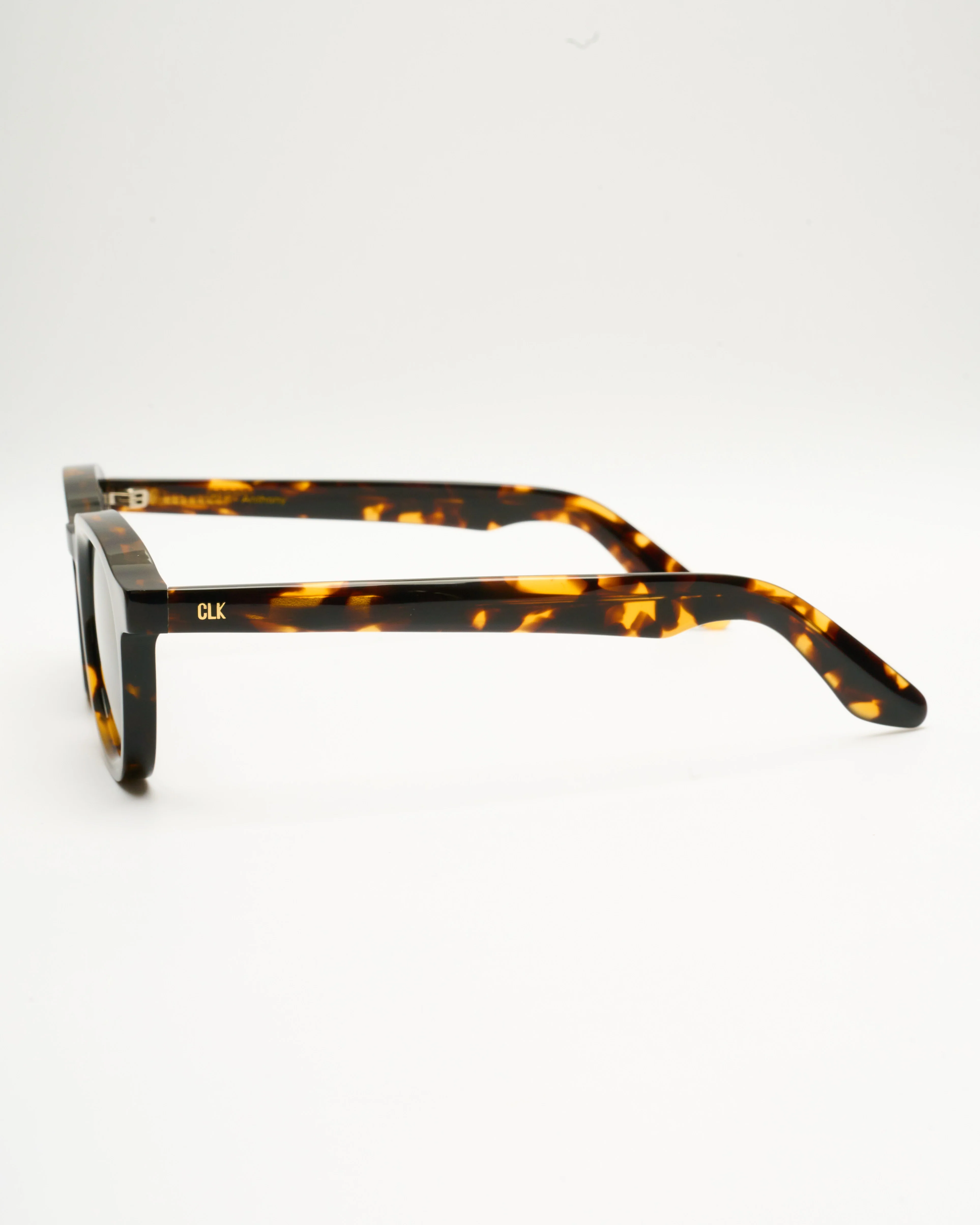 ANTHONY - TORTOISE / BLACK - Image 6