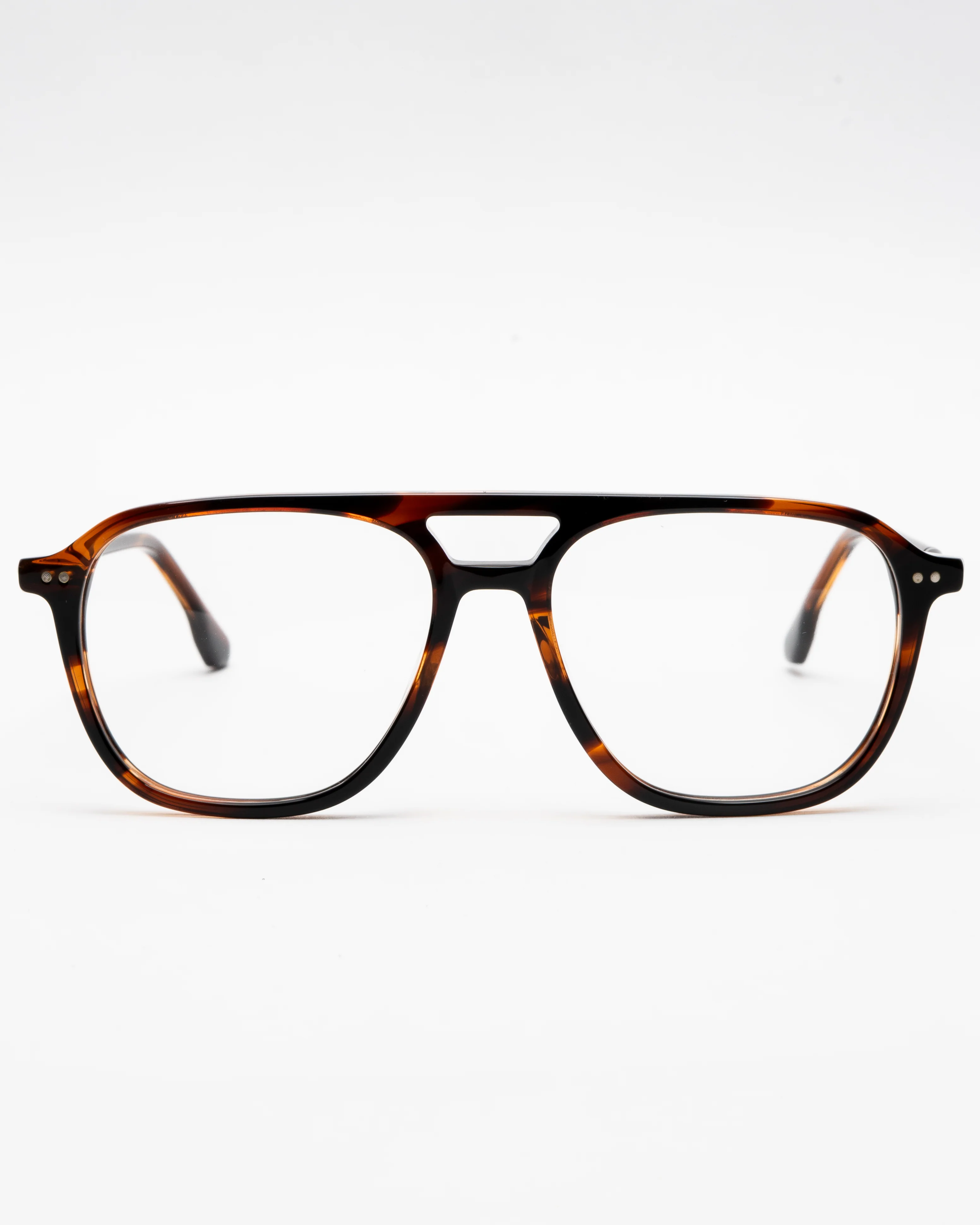 BERNARD - TORTOISE - Image 4