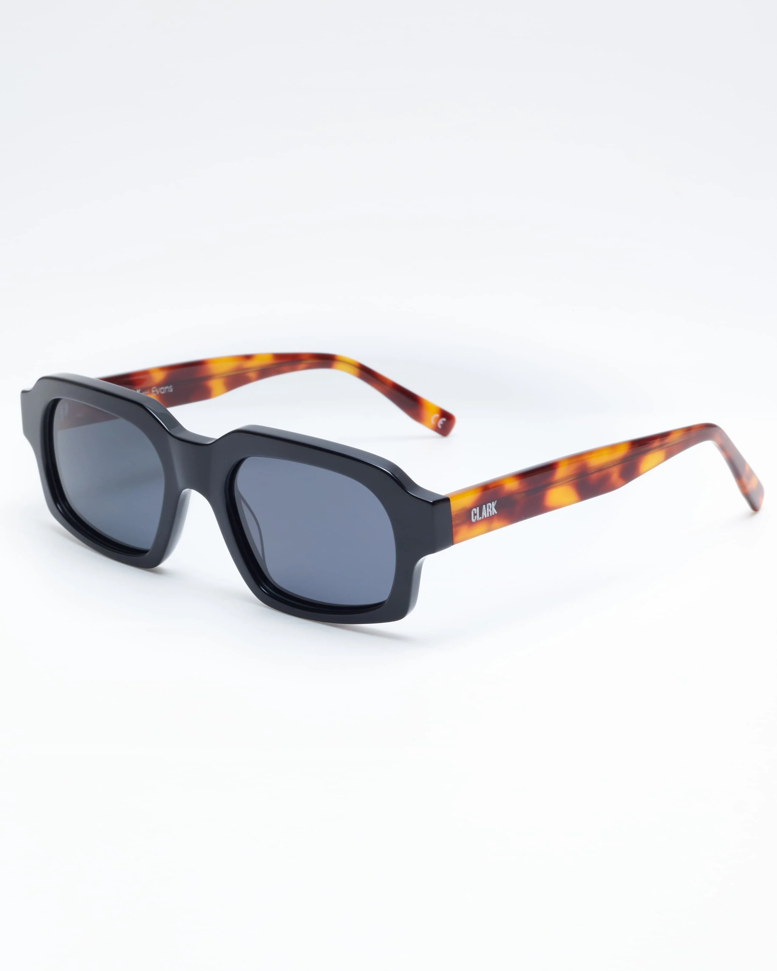 EVANS SUNGLASSES - CAREY/BLACK