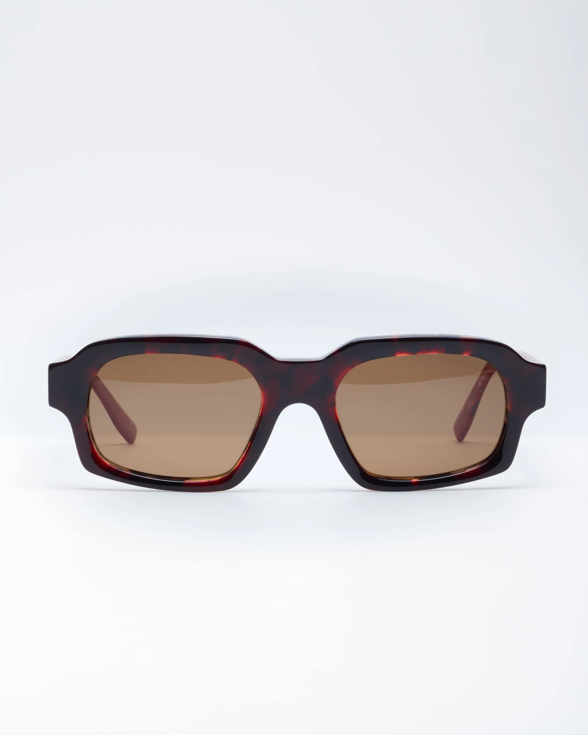 EVANS SUNGLASSES - SPRING/CAREY - Image 2