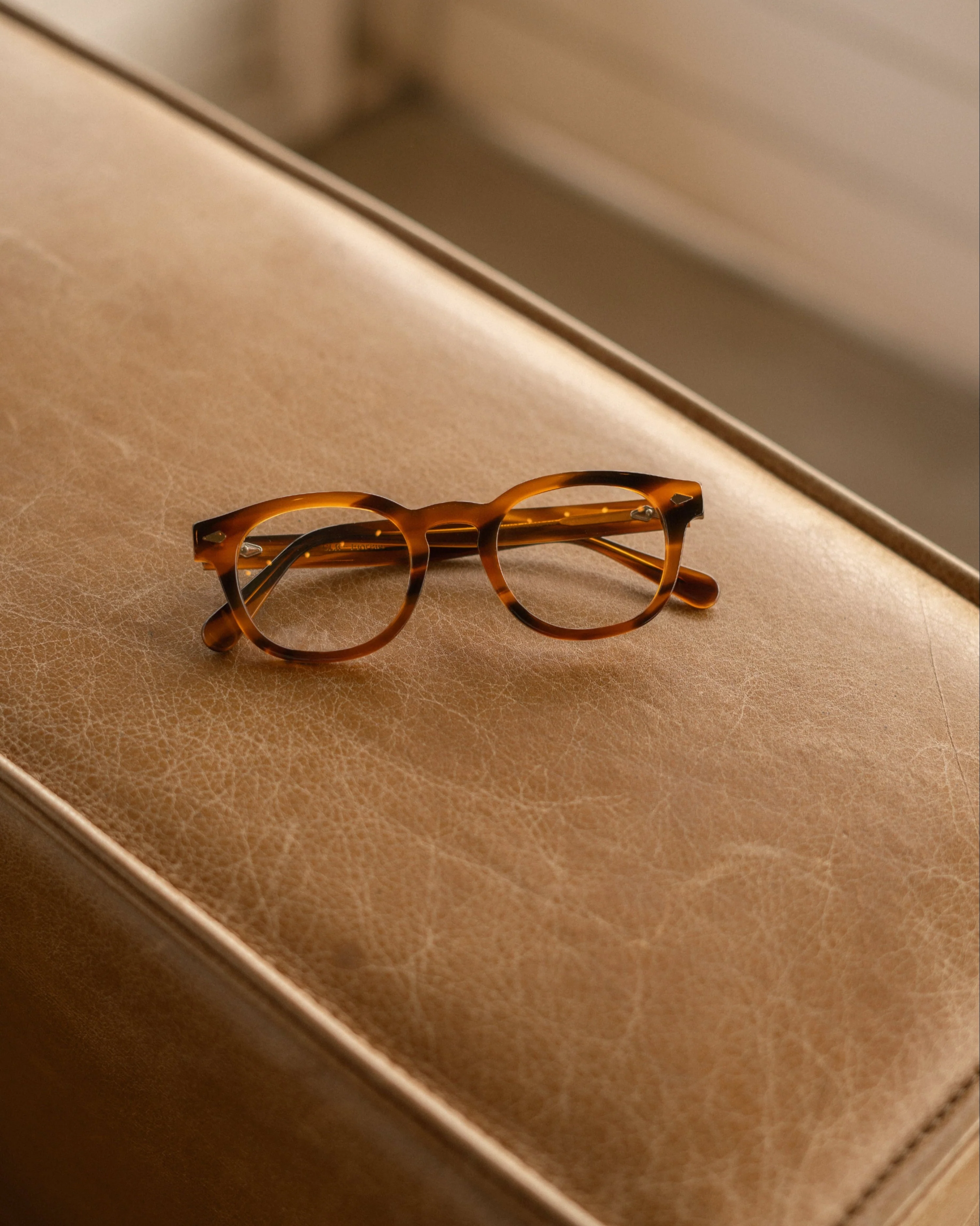 FIORELLO - TORTOISE - Image 9