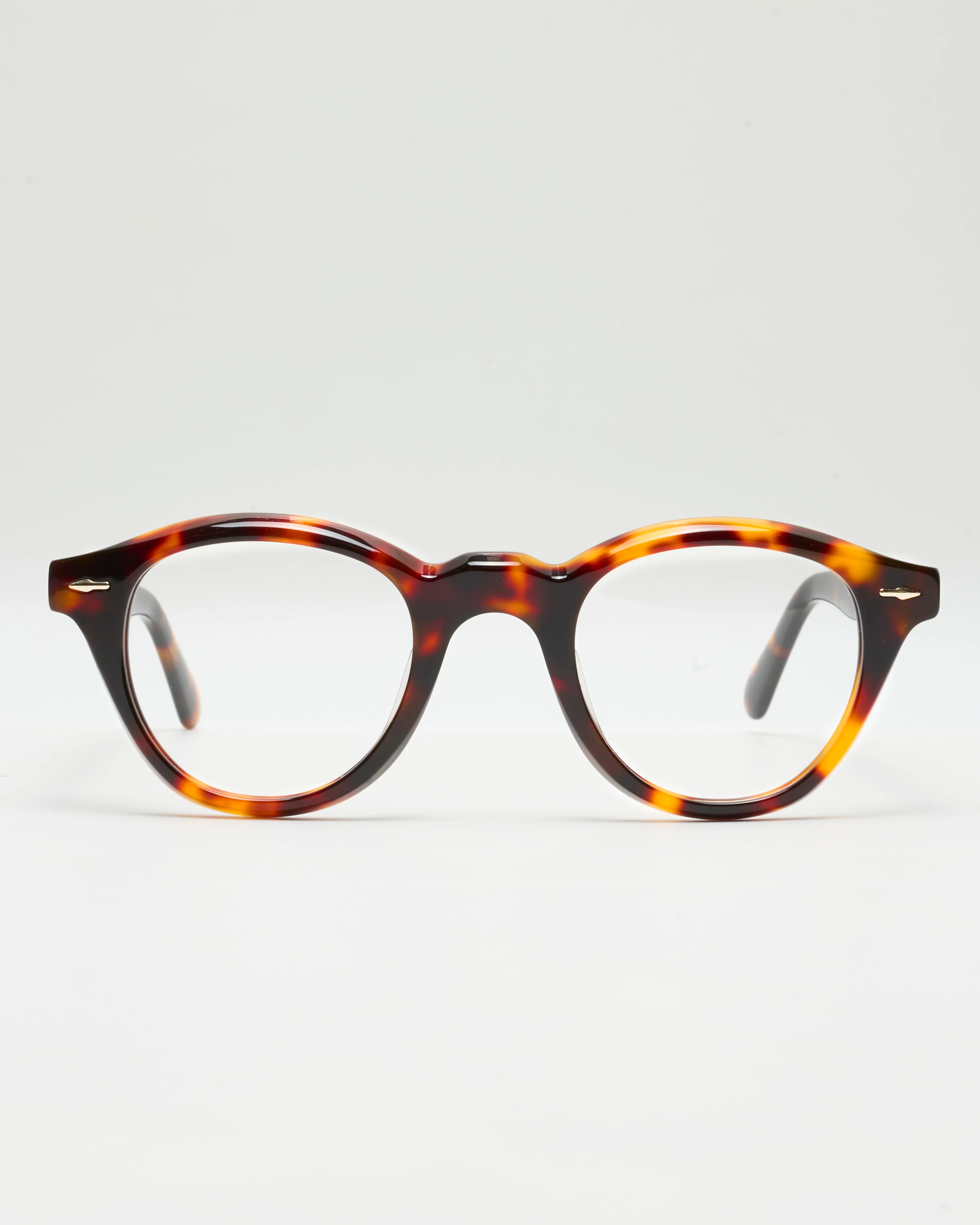 GIANNI - TORTOISE - Image 6