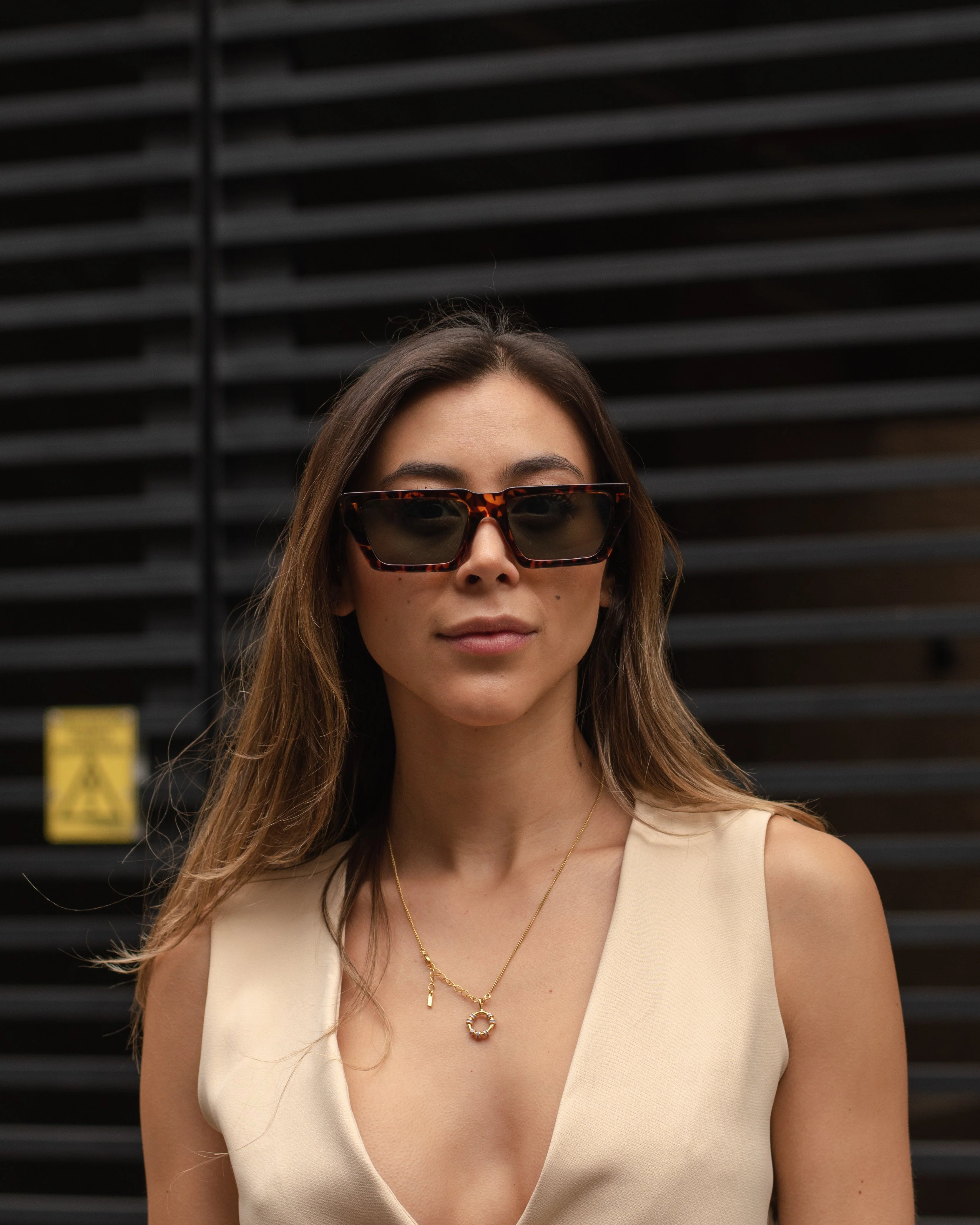 LOUIS SUNGLASSES - CAREY/GREEN - Image 5