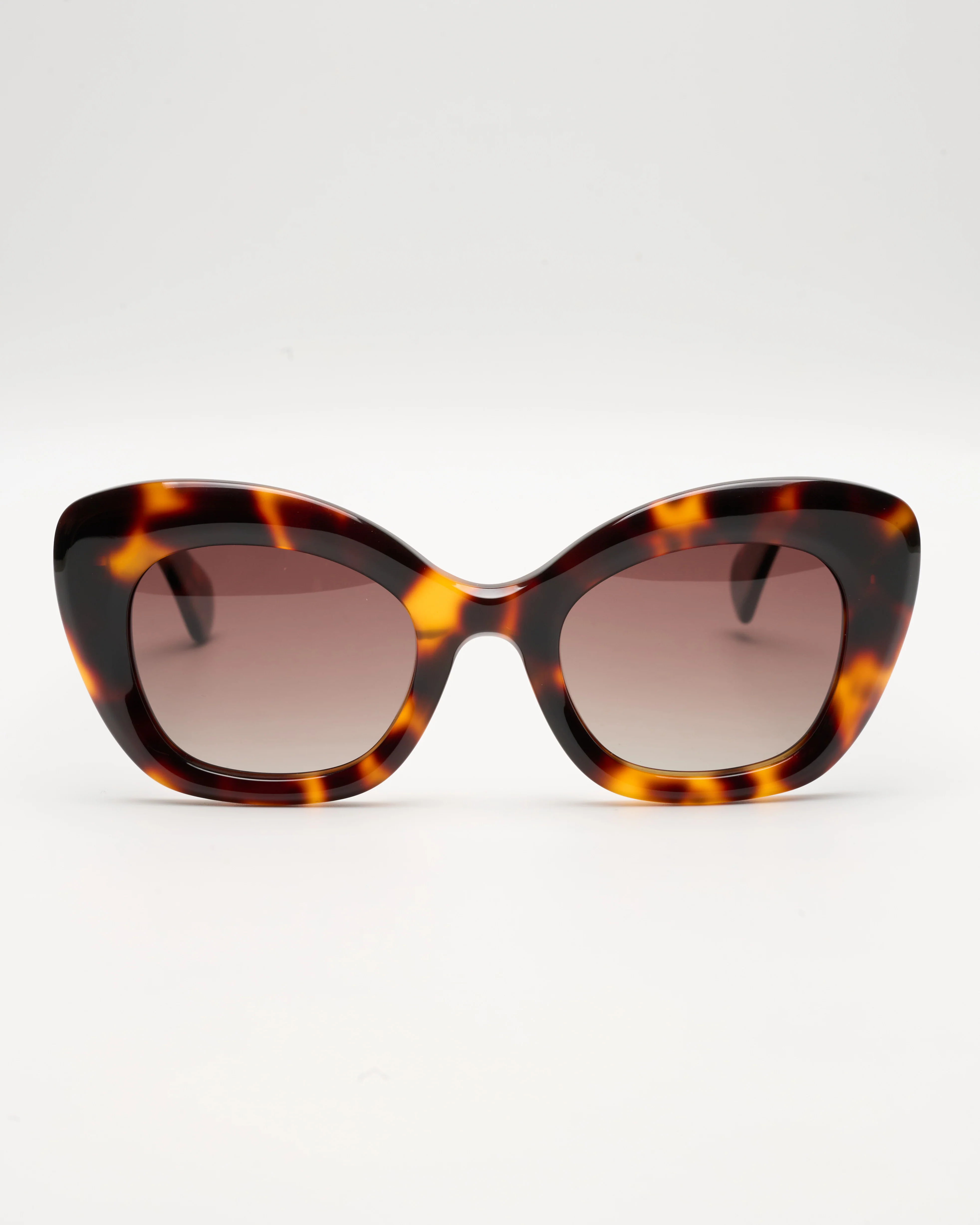 MASSIMO - TORTOISE-CHOCOLATE - Image 6