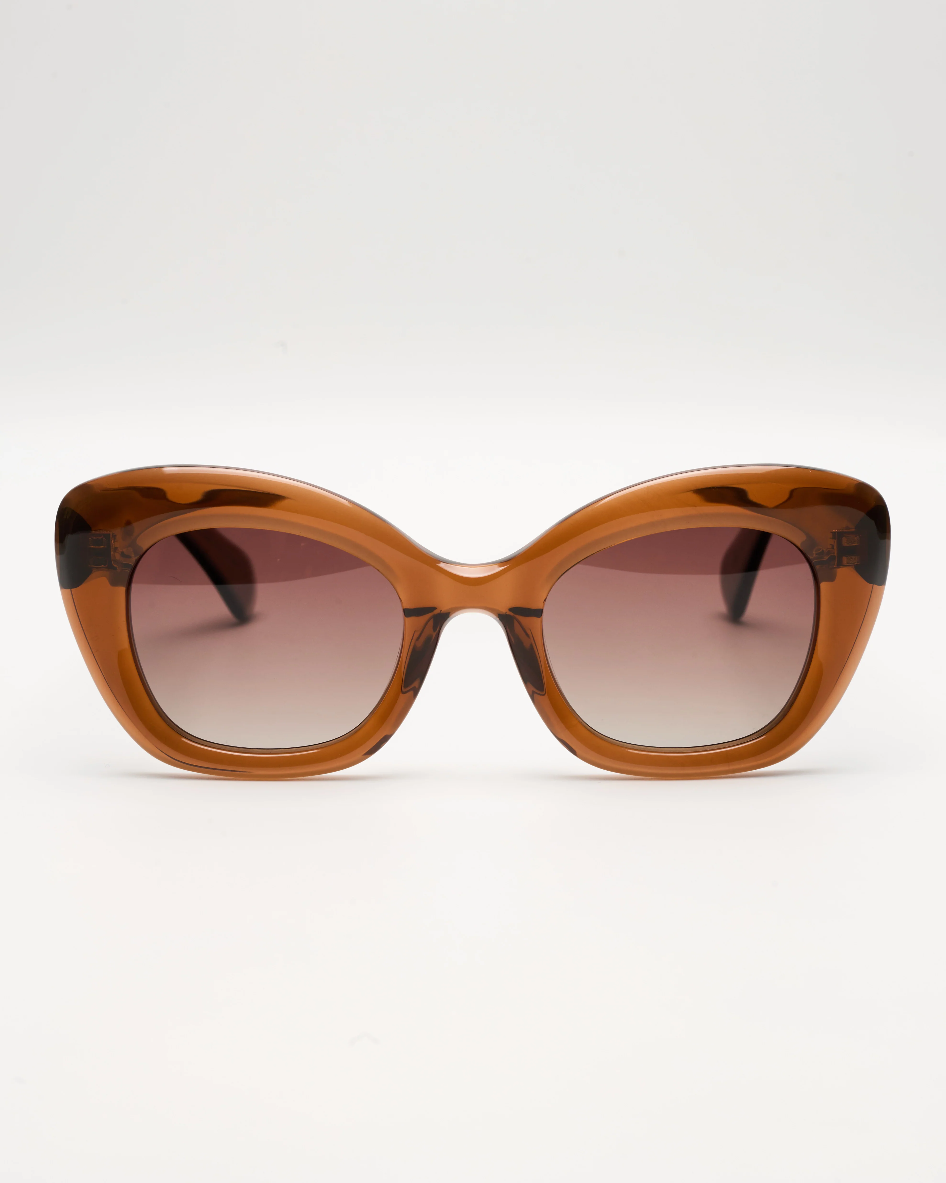 MASSIMO - CARAMEL / CHOCOLATE - Image 7