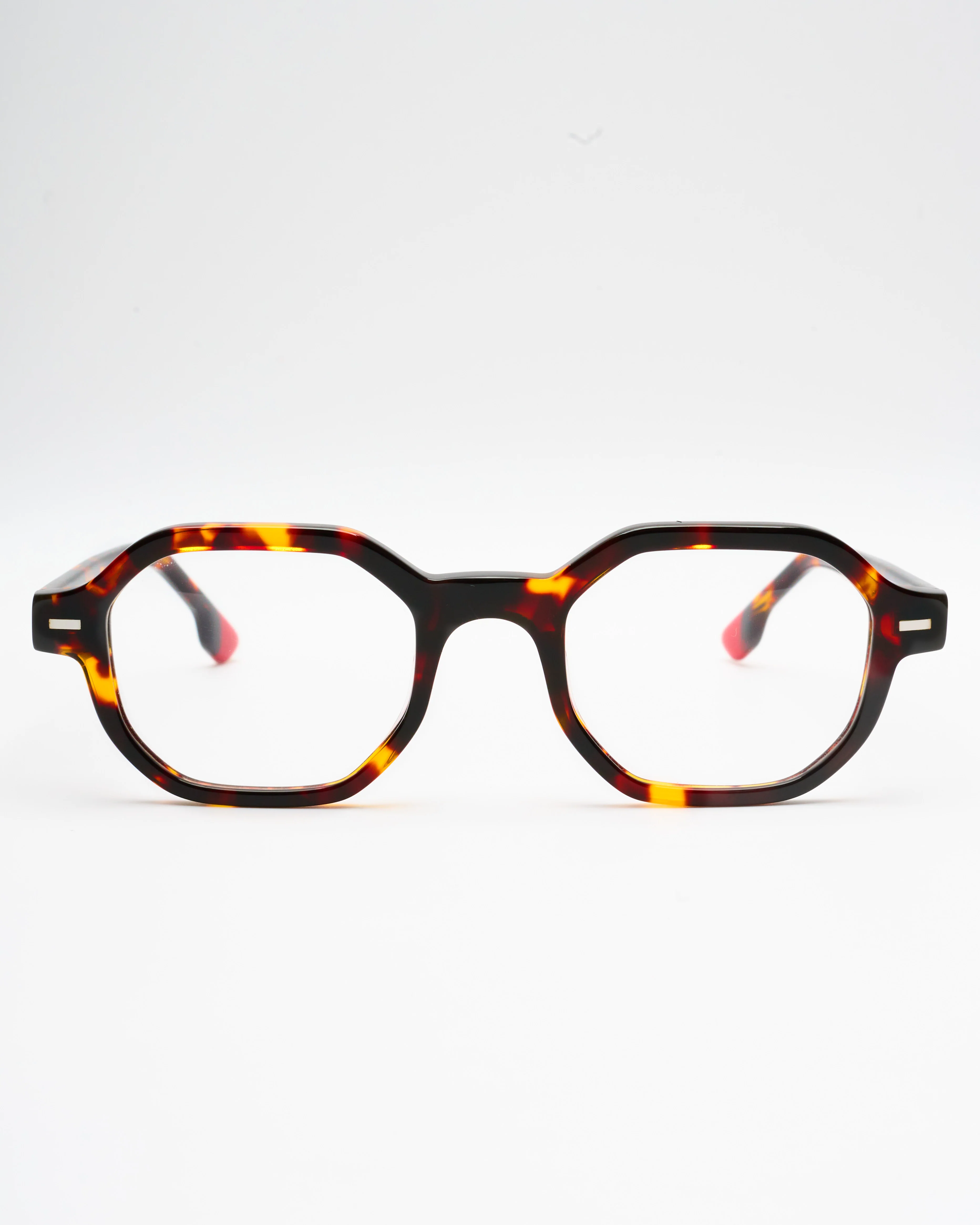 NICCOLO - TORTOISE - Image 6