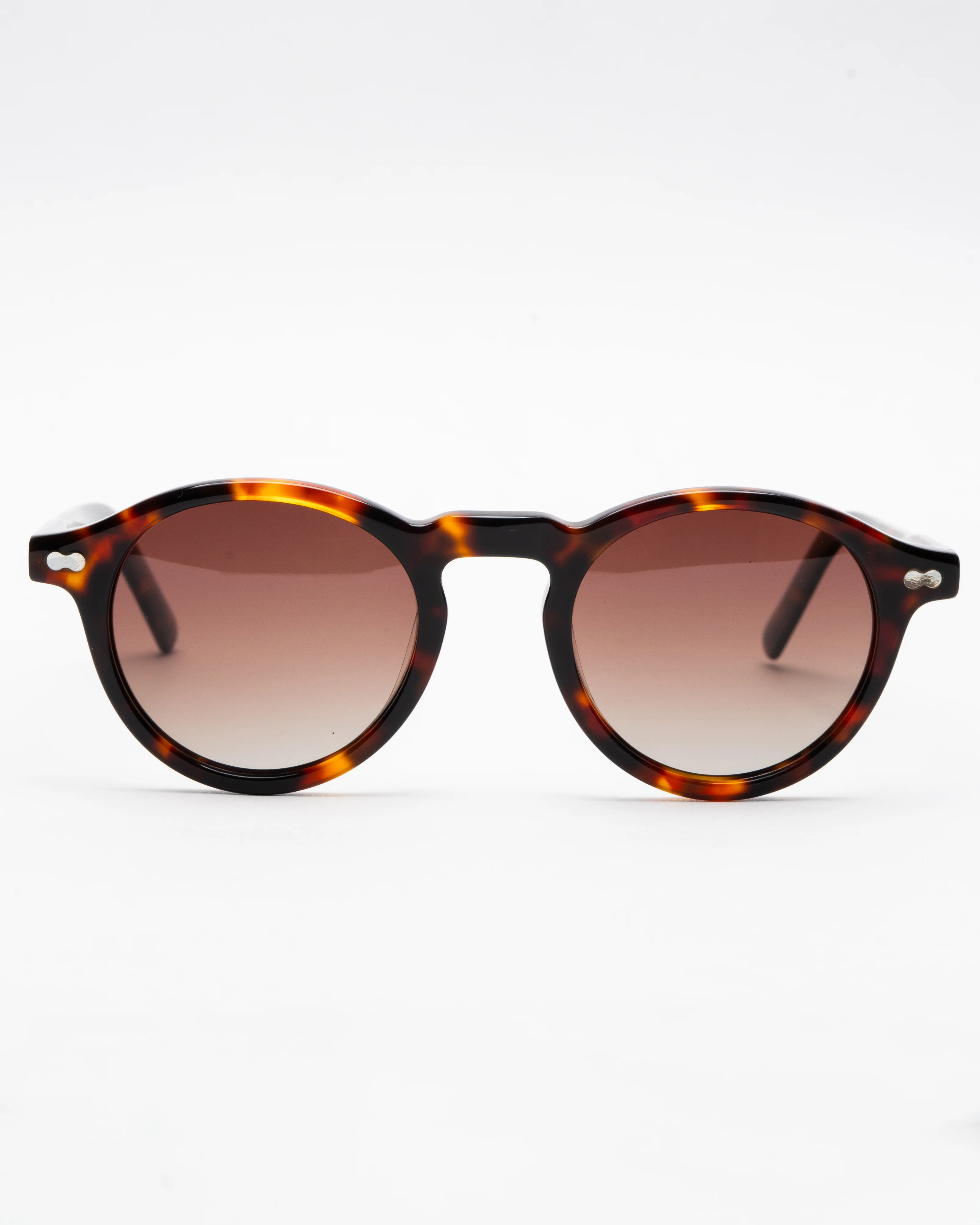 PATRICK - TORTOISE / GRADIENT BROWN - Image 6