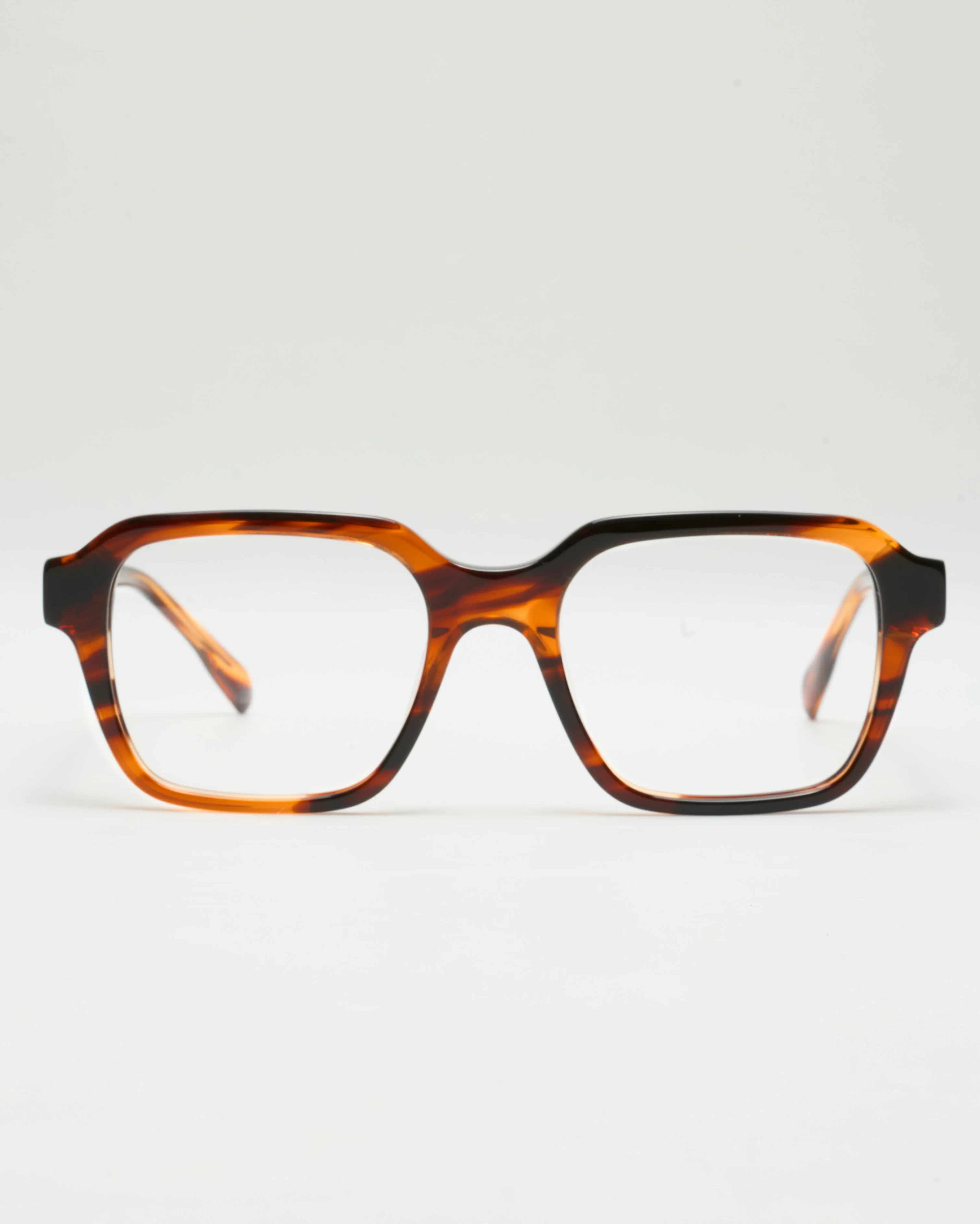 RAFFAELLOO - TORTOISE - Image 10